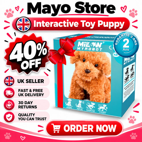 Plush teddy toy - toy, puppy