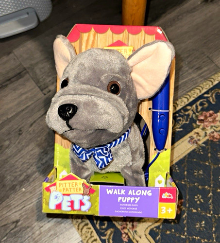 Pitter patter pets - pets, walk