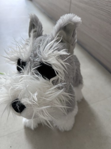 Toy dogs walking and - walking,