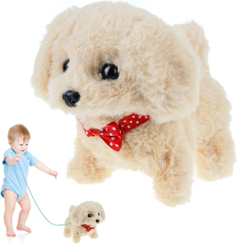 Toy dogs for year - for, old