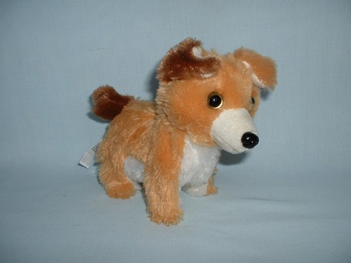Asda walking moving corgi - moving,