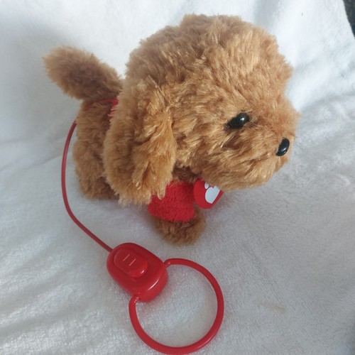 Walkies with waffle - waffle, wonder
