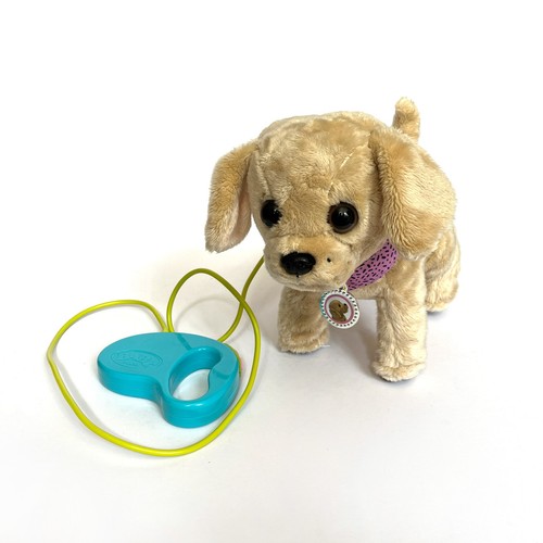 Baby born lucky dog - my,