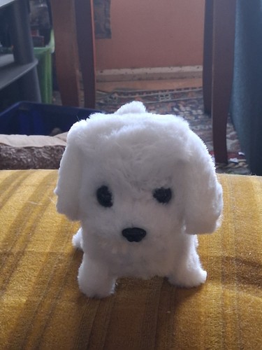 Interactive toy dog - toy,