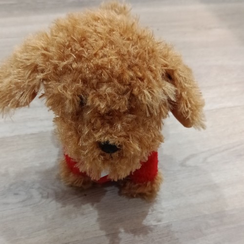 Waffle the wonder dog - waffle,