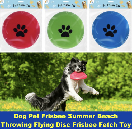 Dog pet frisbee - frisbee, summer