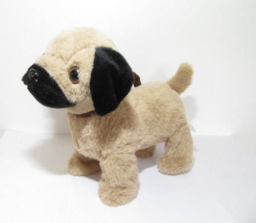Waggle pug dog puppy - dog, soft