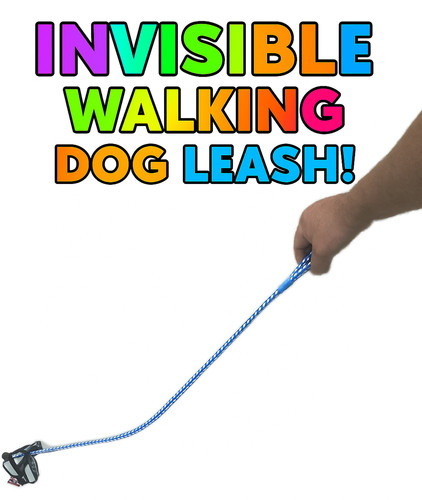 New invisible walking dog - new,