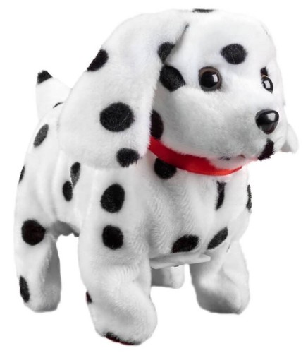 Dalmatian puppy dog - dog, walks