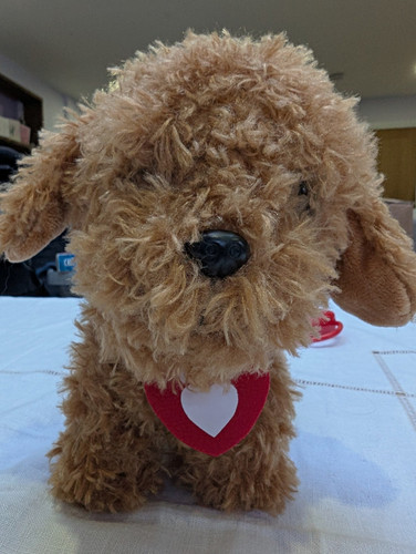 Waffle the wonder dog - waffle,
