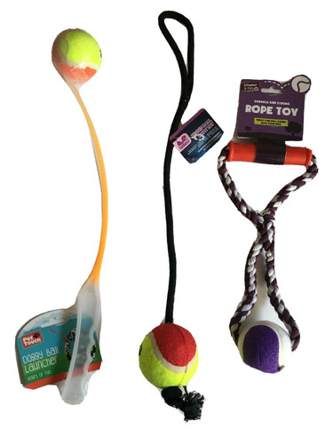 Dog walking tennis - dog,