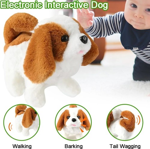 Cute dog walking - cute,