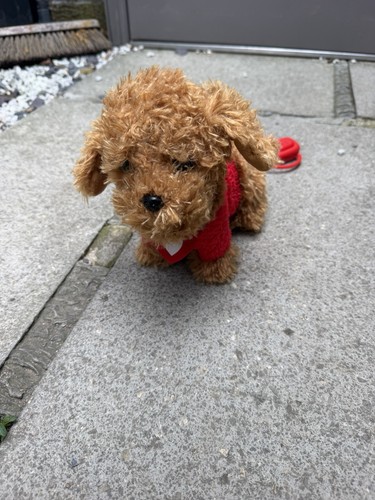 Walkies with waffle the - walkies,