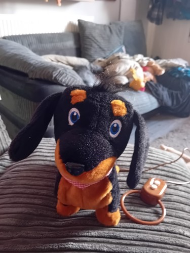 Pitter patter pets - pitter, daschund