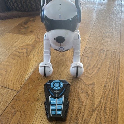 Walking dog toys for kids - toys,